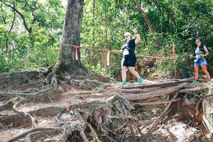 BIB: 
                            <button type="button" onclick="openModal(27720125)" class="btn btn-primary btn-sm float-right btn-popup" data-toggle="modal" data-target=".modal-high-quality">
                        <i class="fas fa-shopping-cart"></i> Add to Cart
                    </button>
                                            <button type="button" onclick="isThisMe(27720125, true)" class="btn btn-success btn-sm float-right btn-popup btn-isme hidden" data-toggle="tooltip" data-placement="bottom" title="นี่คือรูปของคุณใช่ไหม คลิกที่นี่เพื่อเอาเข้าอัลบั้ม">
                        <i class="fas fa-plus"></i> Add to album
                    </button>
                    <button type="button" onclick="isThisMe(27720125, false)" class="btn btn-warning btn-sm float-right btn-popup btn-isnotme hidden">
                        <i class="fas fa-ban"></i> Remove from album
                    </button>